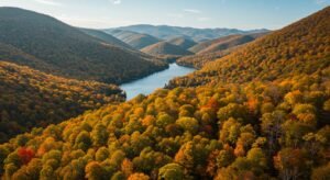 إدارة المخاطر التشغيلية