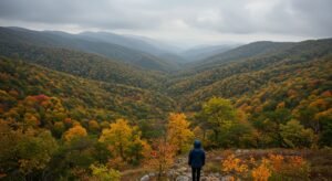 القيادة في بيئات التصنيع الحديثة